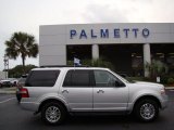 2012 Ingot Silver Metallic Ford Expedition XLT #71132269