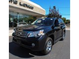 2010 Lexus GX 460