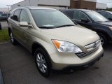 2007 Borrego Beige Metallic Honda CR-V EX-L 4WD #71194302