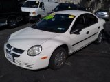 2004 Stone White Dodge Neon SE #71194102