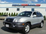 2006 Pewter Hyundai Santa Fe GLS 4WD #71227780