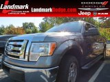 2010 Sterling Grey Metallic Ford F150 XLT SuperCrew #71227284