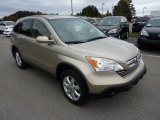2007 Borrego Beige Metallic Honda CR-V EX-L 4WD #71337788