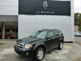 2011 Ford Escape XLT V6 4WD