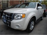 2010 White Suede Ford Escape Limited V6 4WD #71337475