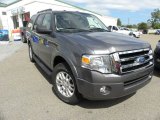 2012 Sterling Gray Metallic Ford Expedition XLT #71337398