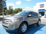 2013 Mineral Gray Metallic Ford Edge SEL #71383621