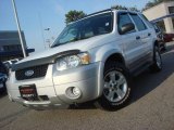 2007 Oxford White Ford Escape XLT V6 4WD #71383513