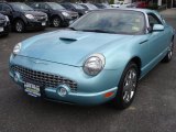 2002 Thunderbird Blue Ford Thunderbird Premium Roadster #71383505