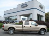 2012 Pale Adobe Metallic Ford F250 Super Duty XLT Crew Cab 4x4 #71434496