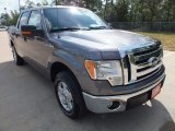 2012 Sterling Gray Metallic Ford F150 XLT SuperCrew #71435212