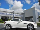 2013 Arctic White Mercedes-Benz SLK 250 Roadster #71434474