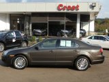 Charcoal Beige Metallic Mercury Milan in 2006