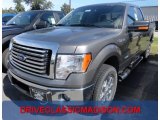 2012 Sterling Gray Metallic Ford F150 XLT SuperCab 4x4 #71383991