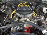 1971 Chevrolet Chevelle SS Coupe V8 Engine