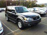 2006 Black Ford Escape XLT V6 4WD #71504785