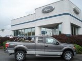2013 Sterling Gray Metallic Ford F150 XLT SuperCab 4x4 #71531000
