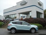 2013 Frosted Glass Metallic Ford Escape SEL 1.6L EcoBoost 4WD #71530990