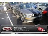 2005 Mineral Grey Metallic Ford Mustang GT Premium Coupe #71530860