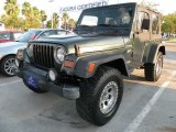 2002 Shale Green Metallic Jeep Wrangler Sport 4x4 #71633543