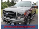 2013 Sterling Gray Metallic Ford F150 FX4 SuperCab 4x4 #71634109