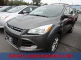 2013 Sterling Gray Metallic Ford Escape SEL 2.0L EcoBoost #71634100