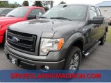 2013 Sterling Gray Metallic Ford F150 XLT SuperCab 4x4 #71634098