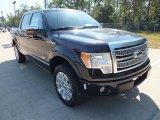 2012 Tuxedo Black Metallic Ford F150 Platinum SuperCrew 4x4 #71688486