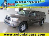 Pyrite Mica Toyota Tacoma in 2012