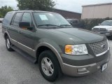 2003 Estate Green Metallic Ford Expedition Eddie Bauer #71687849