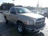 2004 Light Almond Pearl Dodge Ram 1500 ST Regular Cab #71687833