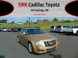 2013 Summer Gold Metallic Cadillac CTS 3.0 Sedan #71745064