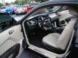 2010 Ford Mustang V6 Premium Coupe Stone Interior