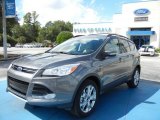 2013 Sterling Gray Metallic Ford Escape SEL 2.0L EcoBoost 4WD #71744613