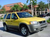2001 Chrome Yellow Metallic Ford Escape XLT V6 #687826