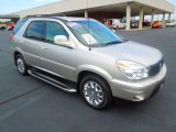 2007 Platinum Metallic Buick Rendezvous CXL #71745222