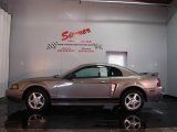 2002 Mineral Grey Metallic Ford Mustang V6 Coupe #7137768