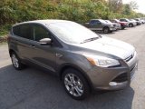 2013 Sterling Gray Metallic Ford Escape SEL 2.0L EcoBoost 4WD #71819350