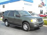 2004 Estate Green Metallic Ford Expedition XLT #7136607