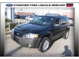 2007 Black Ford Escape XLT 4WD #7148990