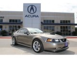 2001 Mineral Grey Metallic Ford Mustang GT Coupe #71860497