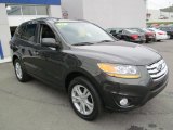 2011 Hyundai Santa Fe Black Forest Green