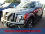 2012 Sterling Gray Metallic Ford F150 FX4 SuperCrew 4x4 #71860982