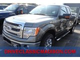 2013 Sterling Gray Metallic Ford F150 XLT SuperCab 4x4 #71860981