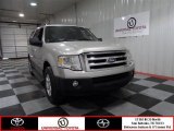 2007 Silver Birch Metallic Ford Expedition XLT #71914564