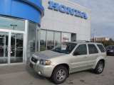 2005 Gold Ash Metallic Ford Escape Limited 4WD #71979810