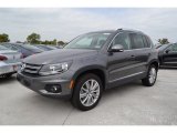 2013 Volkswagen Tiguan SE