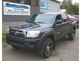 2009 Magnetic Gray Metallic Toyota Tacoma Access Cab 4x4 #71979920