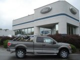2013 Sterling Gray Metallic Ford F150 XLT SuperCab 4x4 #71979670