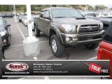 Pyrite Brown Mica Toyota Tacoma in 2009